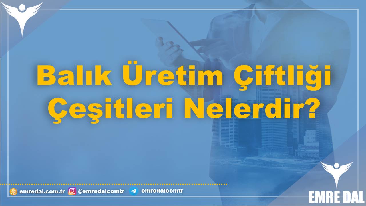 Balık Üretim Çiftliği Çeşitleri Nelerdir?
