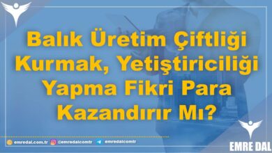 REHBER: Balık Üretim Çiftliği Kurmak, Yetiştiriciliği Yapma Fikri Para Kazandırır Mı? 1 Balık Üretim Çiftliği Kurmak, Yetiştiriciliği Yapma Fikri Para Kazandırır Mı?