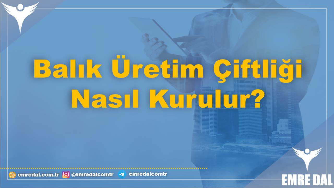 Balık Üretim Çiftliği Nasıl Kurulur?