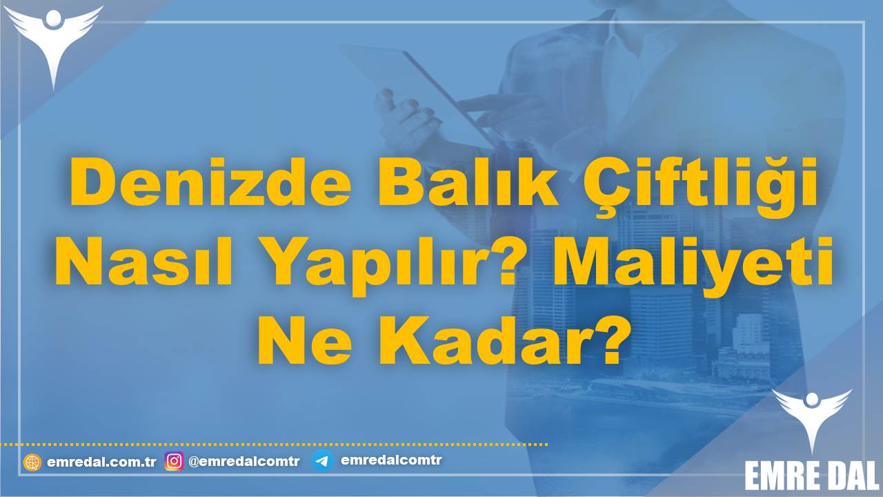 Denizde Balık Çiftliği Nasıl Yapılır? Maliyeti Ne Kadar?