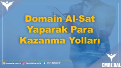 Domain Al-Sat Yaparak Para Kazanma Yolları