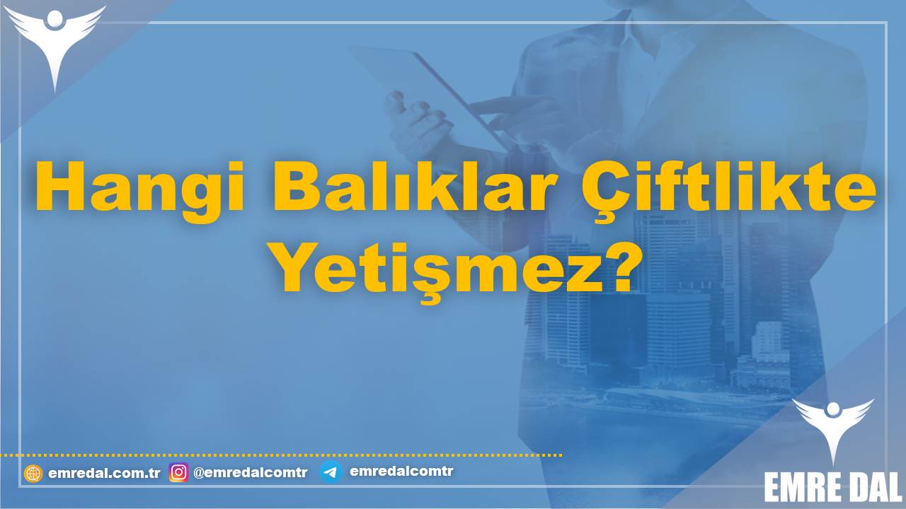 Hangi Balıklar Çiftlikte Yetişmez?
