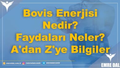 Bovis Enerjisi Nedir? Faydaları Neler? - A'dan Z'ye Bilgiler