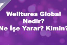 Welltures Global Nedir? Ne İşe Yarar? Kimin?