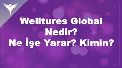 Welltures Global Nedir? Ne İşe Yarar? Kimin?