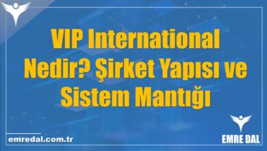 VIP International Nedir? Şirket Yapısı ve Sistem Mantığı