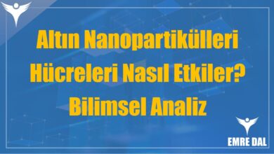 Altın Nanopartikülleri Hücreleri Nasıl Etkiler? Bilimsel Analiz