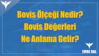 Bovis Ölçeği Nedir? Bovis Değerleri Ne Anlama Gelir?