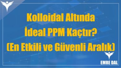 Kolloidal Altında İdeal PPM Kaçtır? (En Etkili ve Güvenli Aralık)