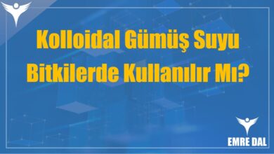 Kolloidal Gümüş Suyu Bitkilerde Kullanılır Mı? Bilimsel Yaklaşım