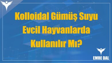 Kolloidal Gümüş Suyu Evcil Hayvanlarda Kullanılır Mı?