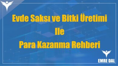 Evde Saksı ve Bitki Üretimi ile Para Kazanma Rehberi